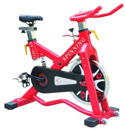 動感單車萊美單車超靜音有氧腳踏運動單車商用家用健身 室內健身器材長期供貨圖片,動感單車萊美單車超靜音有氧腳踏運動單車商用家用健身 室內健身器材長期供貨高清圖片